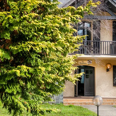 Les Gentianes Hotel 3*